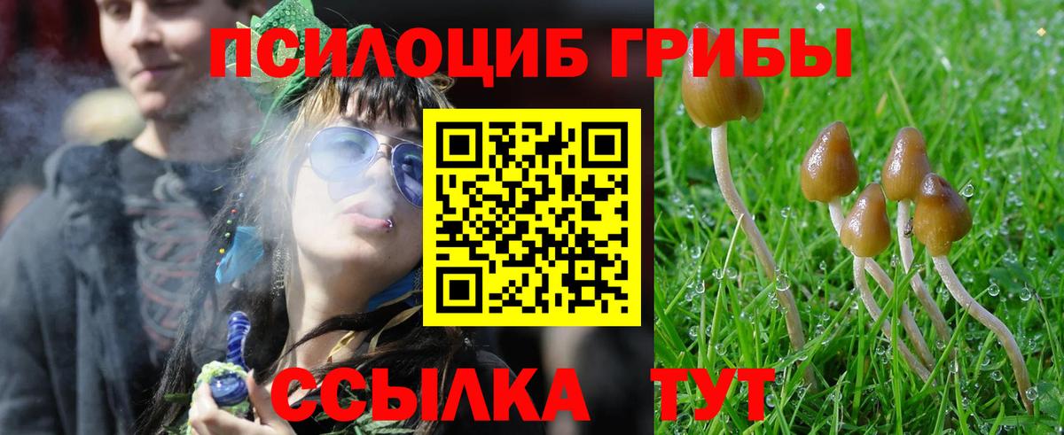 Галлюциногенные грибы MAGIC MUSHROOMS Димитровград