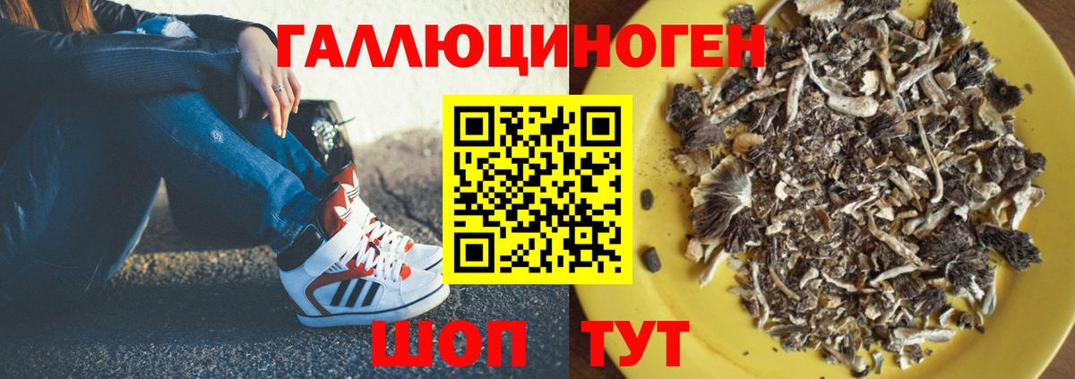Псилоцибиновые грибы Psilocybine cubensis  Вход с VPN  Димитровград 